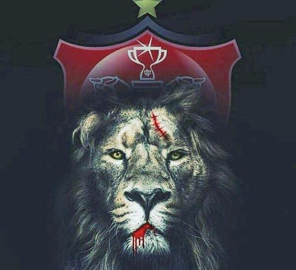 عکس پس زمینه شیر پرسپولیس