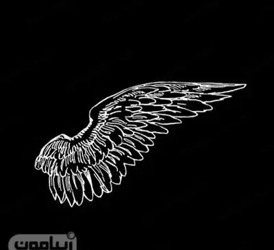 عکس پس زمینه ست قلب