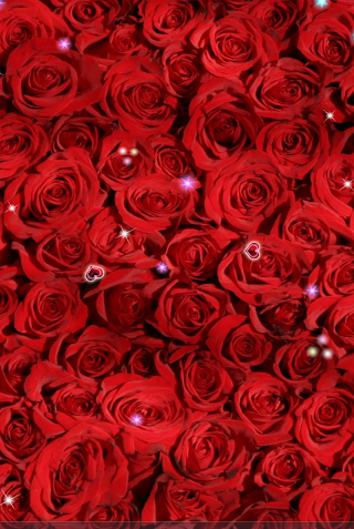 عکس زنده برای پس زمینه