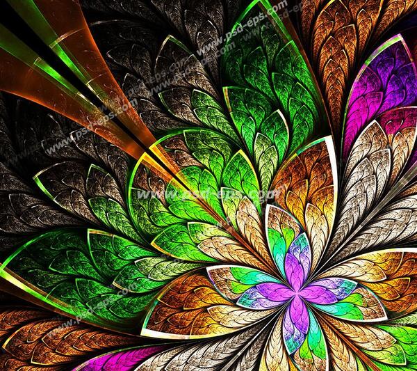 عکس پس زمینه پروانه سبز