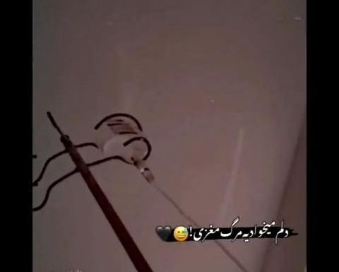 عکس دلم میخواد برم کما