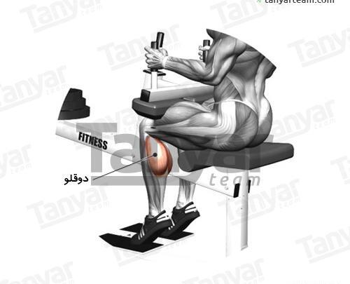 عکس ساق پا نشسته دستگاه