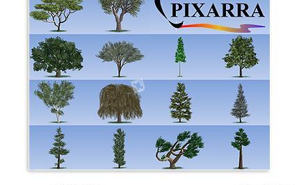 عکس درخت بید مجنون نقاشی