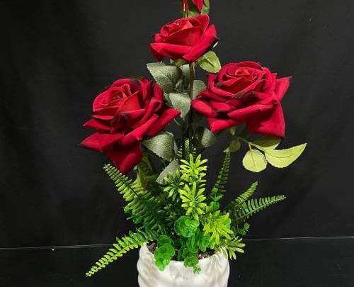 عکس گل رز ایستاده