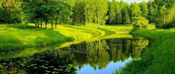 عکس با کیفیت فضای سبز