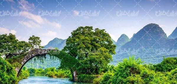 عکس با کیفیت طبیعت سبز