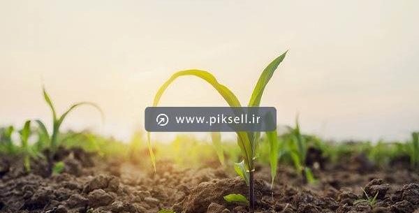 عکس با کیفیت زمین کشاورزی