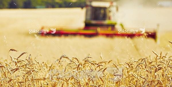 عکس با کیفیت زمین کشاورزی