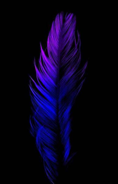 عکس با کیفیت تصویر زمینه