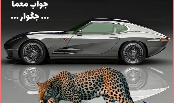 عکس ماشین های جنگلی