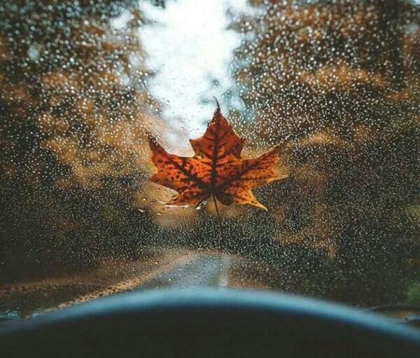 عکس ماشین پاییزی