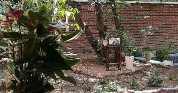عکس خانه ارغوان هوشنگ ابتهاج