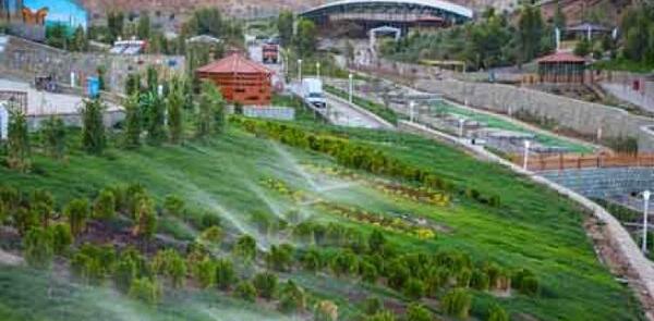 عکس بوستان ارغوان در قم