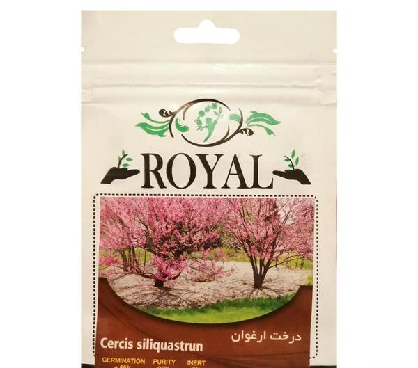 عکس بذر درخت ارغوان