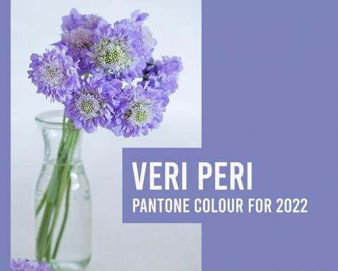 عکس رنگ ابی ارغوانی