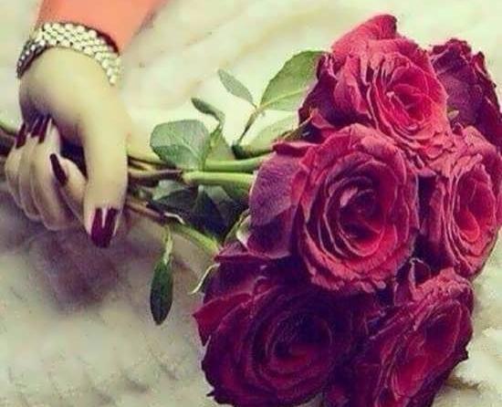 عکس پروفایل دخترانه گل رز