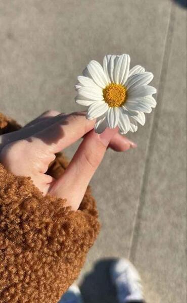 عکس پروفایل دخترانه با گل