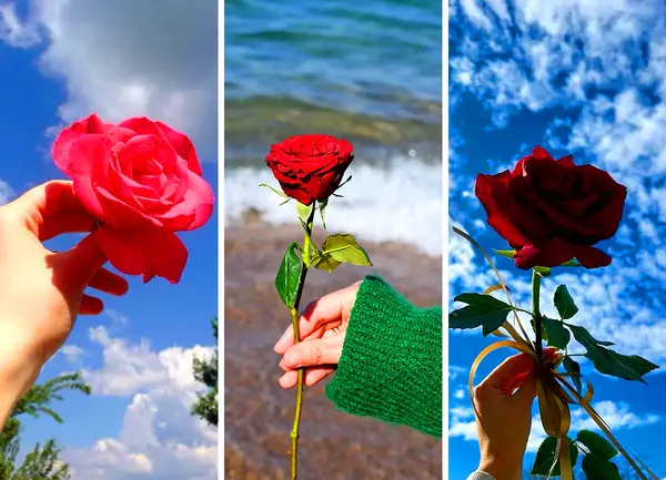عکس پروفایل دخترونه ارام