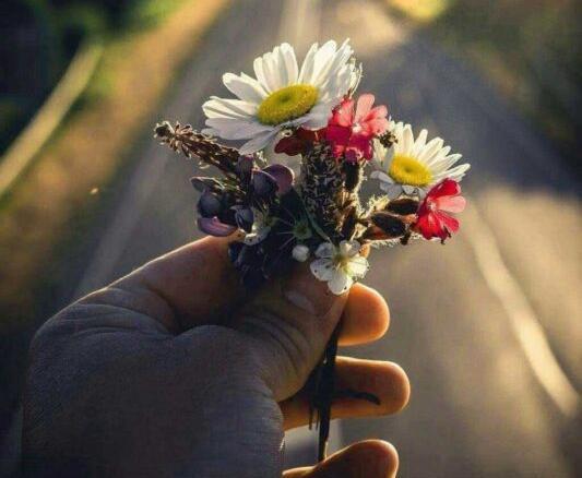 عکس پروفایل خاص برای واتساپ