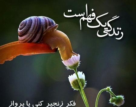 تلگرام خاص عکس پروفایل جدید