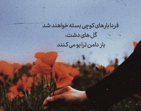 عکس پروفایل پشتو غمگین