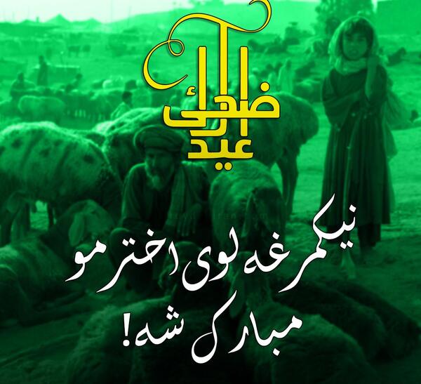 عکس پروفایل شعر پشتو