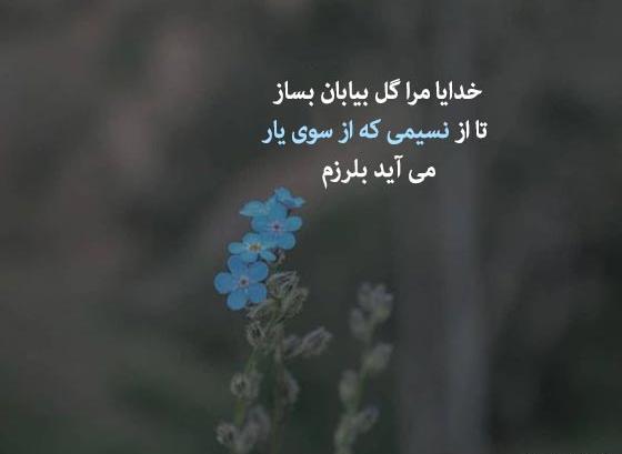 عکس های پروفایل پشتو