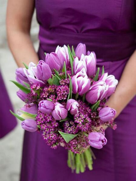 عکس گل عروس برای پروفایل