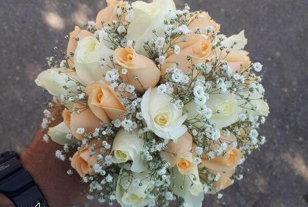 عکس گل عروس برای پروفایل