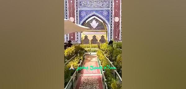 سلام صبح بخیر با عکس حرم امام رضا