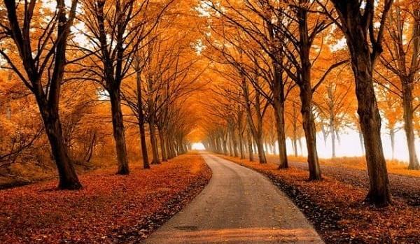 عکس فصل پاییز