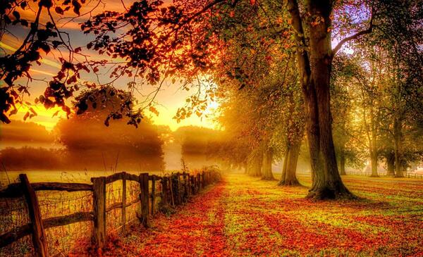 عکس فصل پاییز