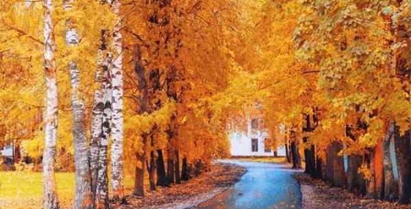 عکس فصل پاییز