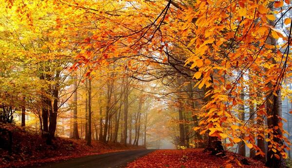 عکس فصل پاییز