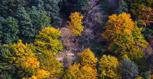 عکس های پاییزی گردنه حیران