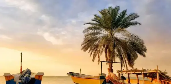 عکس شهر بندر جاسک
