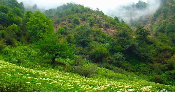 عکس جاهای دیدنی فومن ماسوله