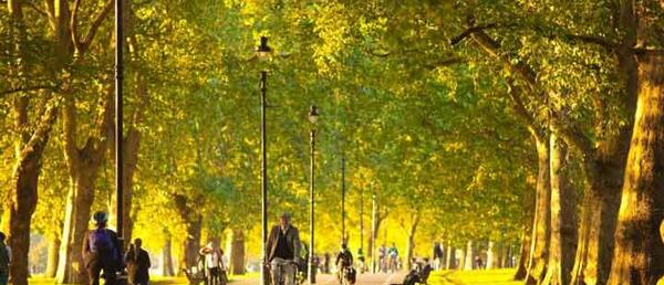 عکس جاهای دیدنی لندن انگلستان
