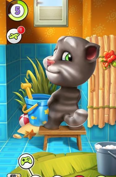 عکس بازی گربه ای