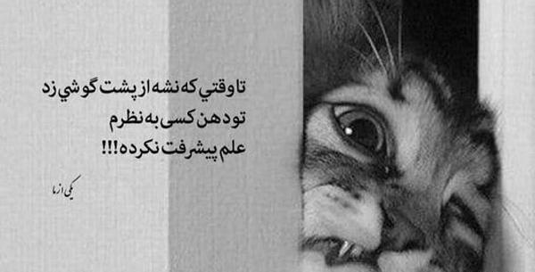 عکس استوری تیکه دار خفن