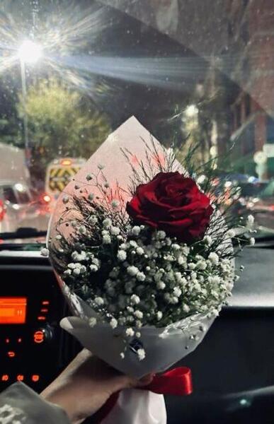 عکس استوری شاخه گل
