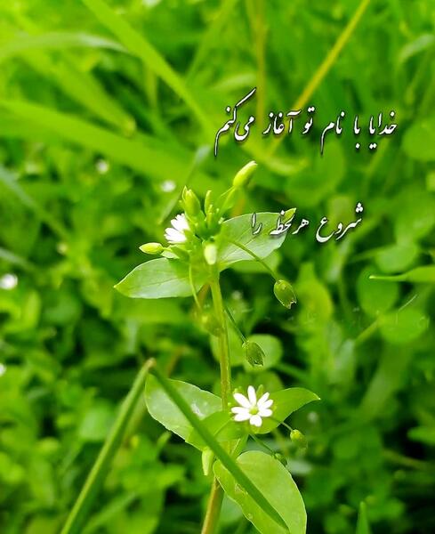 عکس انگیزشی استوری صبح بخیر زیبا و پر انرژی