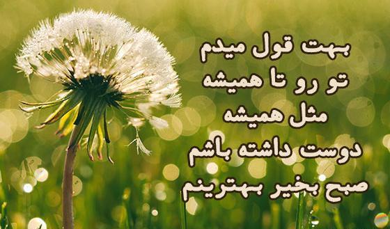 عکس استوری صبح بخیر شاد جدید