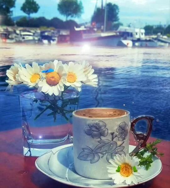 عکس استوری صبح بخیر شاد بهاری
