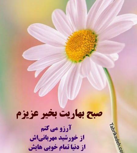 عکس استوری صبح بخیر شاد بهاری