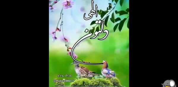 عکس استوری صبح بخیر شاد بهاری