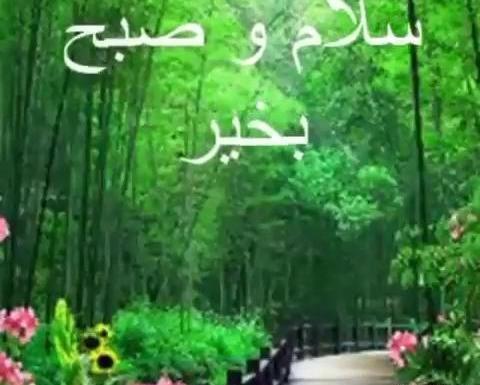 عکس استوری صبح بخیر شاد بهاری