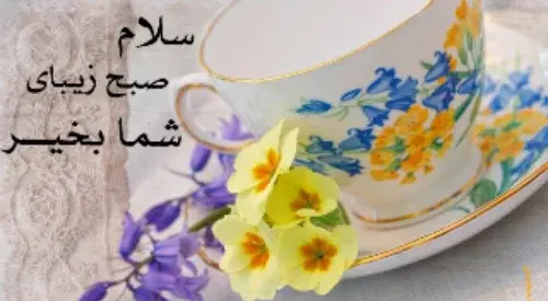 عکس استوری صبح بخیر شاد بهاری