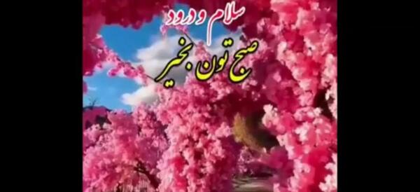 عکس استوری صبح بخیر شاد بهاری