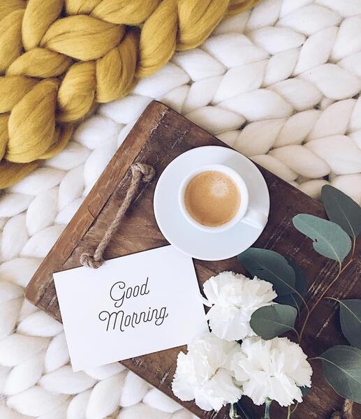 عکس استوری صبح بخیر شاد بهاری